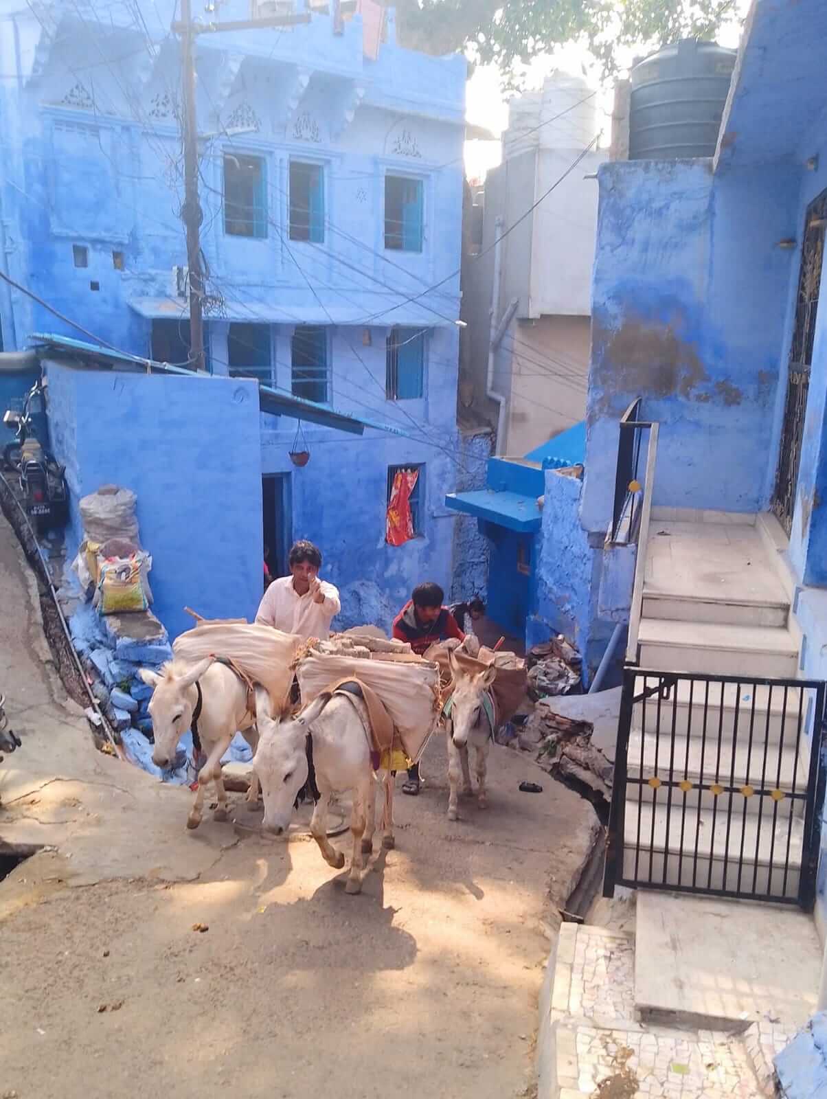 Jodhpur (2)